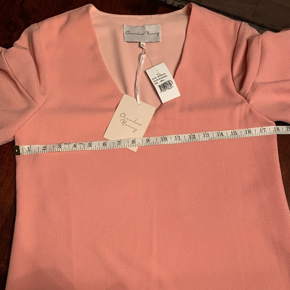 Shift Dress Blush rose NWT - Picture 3 of 8